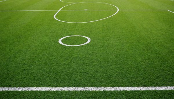 Discover the best soccer fields near you today